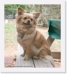 cloe2_IMG_4371 * 576 x 635 * (465KB)