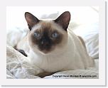 matrix_IMG_1126 * 576 x 455 * (209KB)