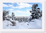 winter_06_IMG_2134 * 720 x 480 * (442KB)